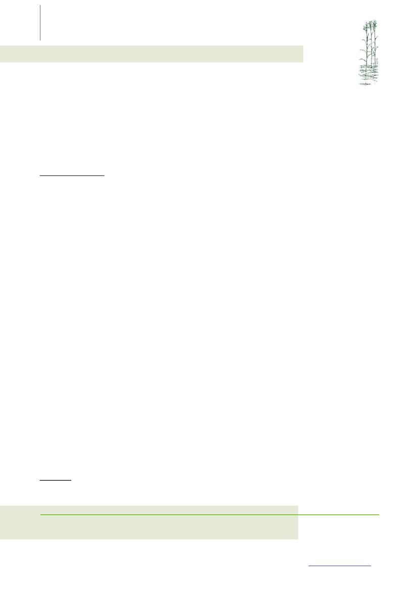 1907003_0002.png