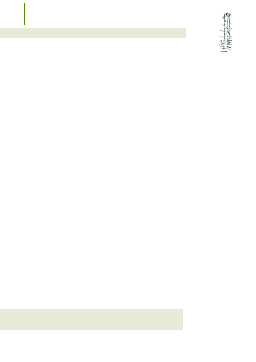 1907003_0004.png