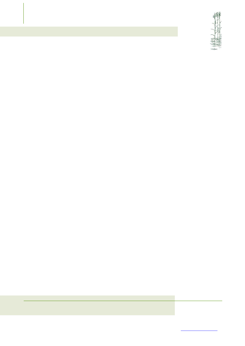 1907003_0005.png