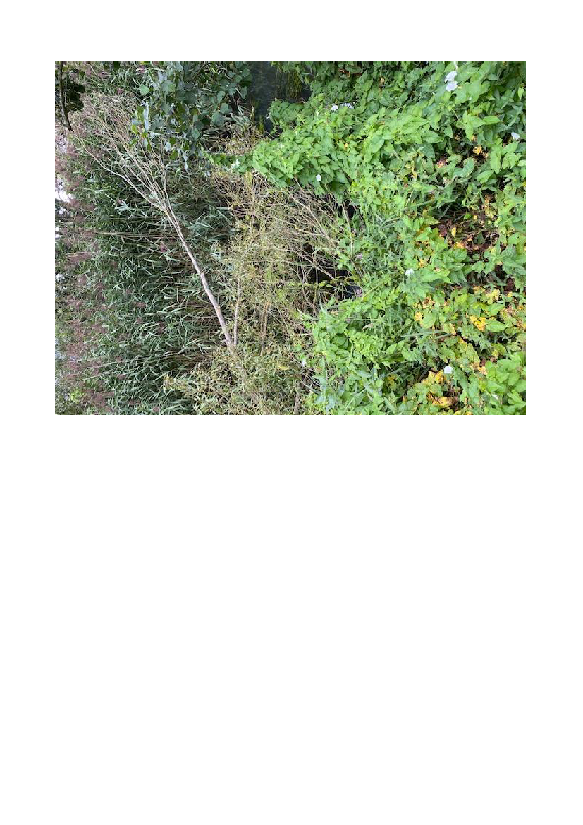 2615299_0003.png